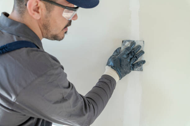 Best Post-Remediation Verification Testing  in Greenfield, MN